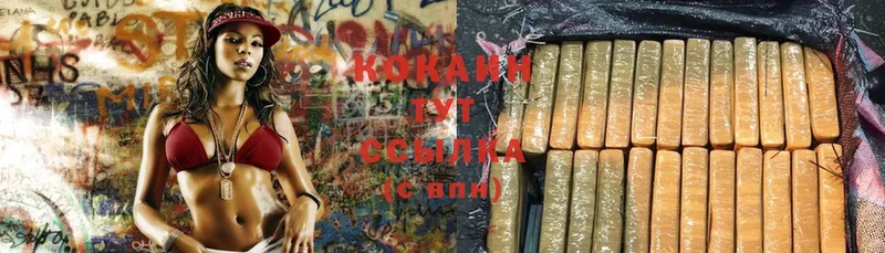 Cocaine Columbia  mega сайт  Полярные Зори 