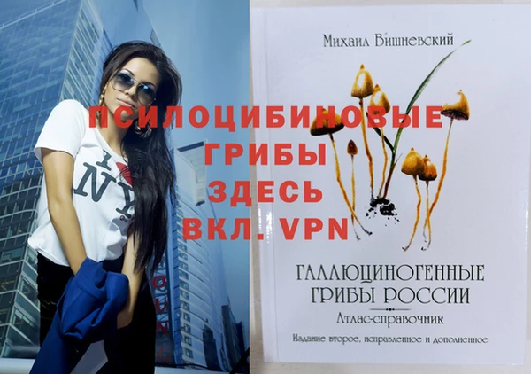 мдма Пересвет