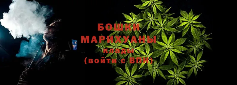 наркота  Полярные Зори  Шишки марихуана план 